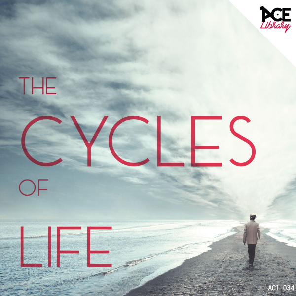 THE CYCLES OF LIFE