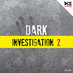 Dark Investigation 2