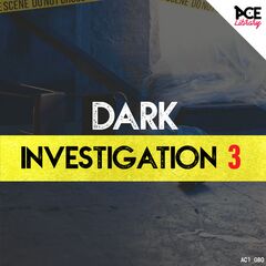 Dark Investigation 3