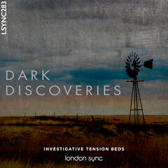 Dark Discoveries