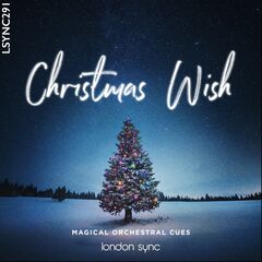 Christmas Wish