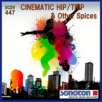 CINEMATIC HIP/TRIP & Other Spices