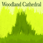 Woodland Cathedral