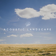 Acoustic Landsacpe