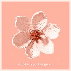 Evolving Images