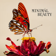 Minimal Beauty