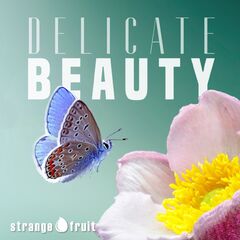 Delicate Beauty