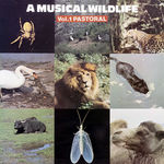 A MUSICAL WILDLIFE Vol. 1 Pastoral