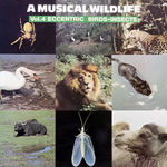 A MUSICAL WILDLIFE Vol. 4 Eccentric Birds-Insects