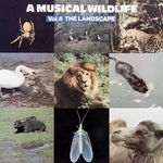 A MUSICAL WILDLIFE Vol. 6 The Landscape