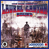 THE LAUREL CANYON PROJECT