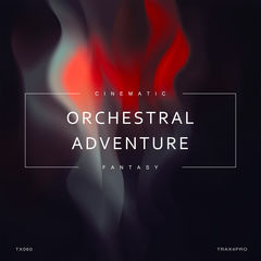 Orchestral Adventure